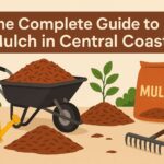 The Complete Guide to Mulch in Central Coast