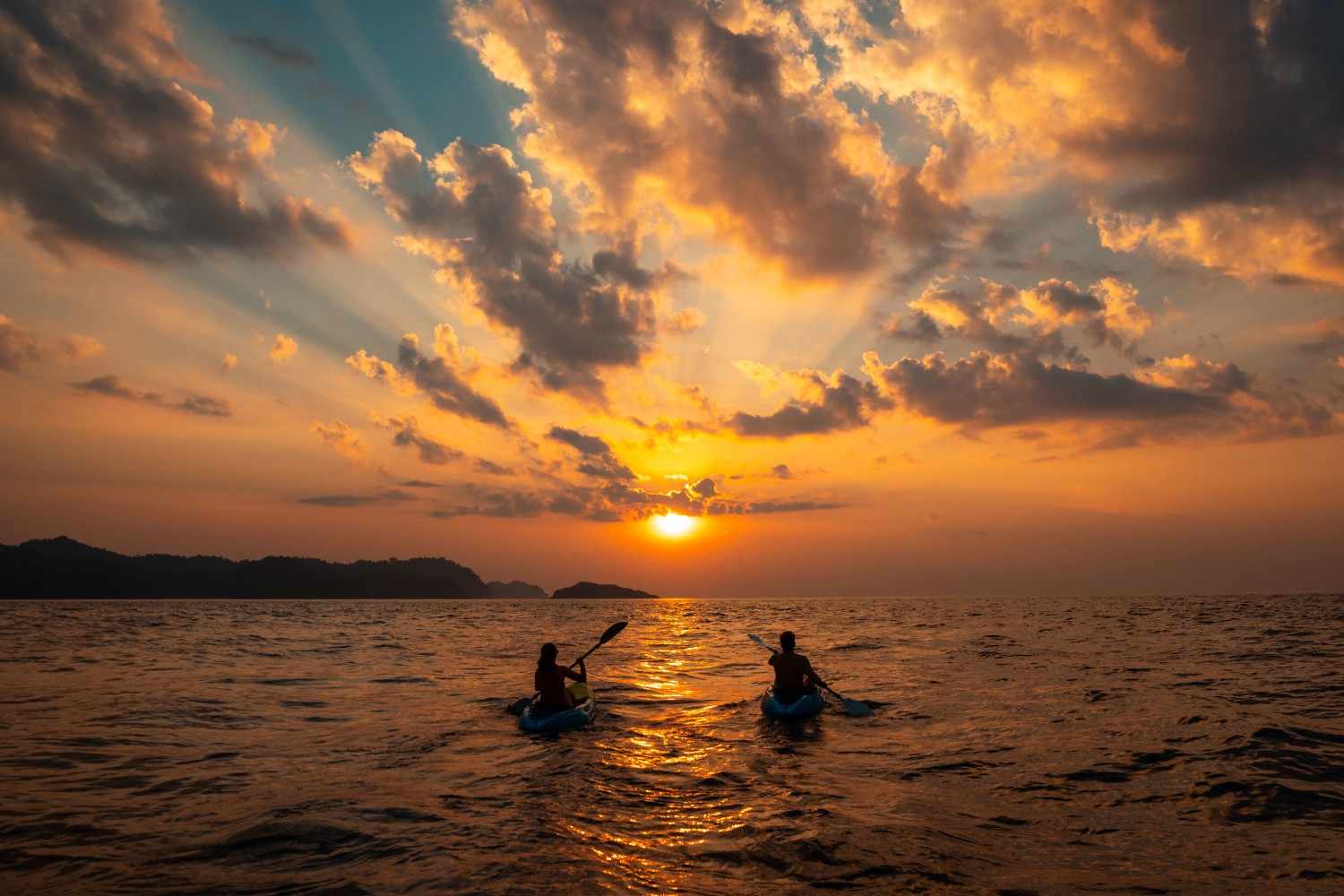 Booking Your Sunset Kayak Sydney Tour