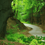 6 Ways to Enjoy Nature Responsibly