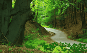 6 Ways to Enjoy Nature Responsibly