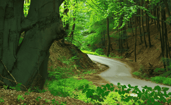 6 Ways to Enjoy Nature Responsibly