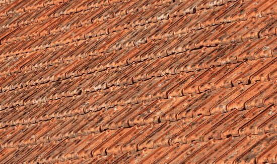 The Vibrant Allure of Copper
