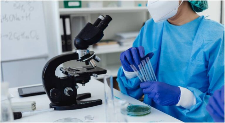 Comprehensive Guide to NIPT Test Sydney for Prenatal Genetic Screening