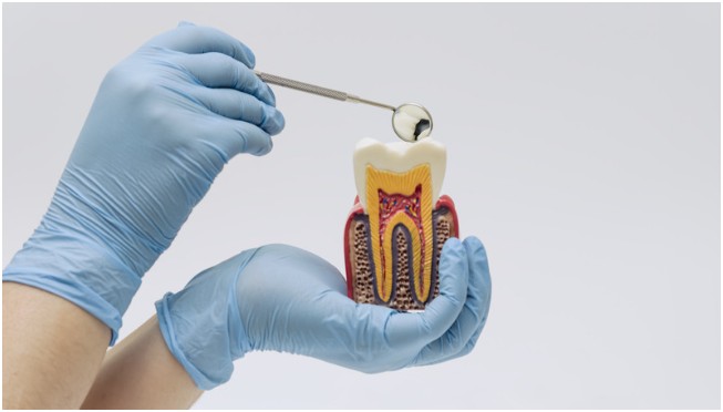 The Molecular Structure of Tooth Enamel